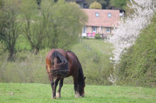 Gite A la petite Bretonnière