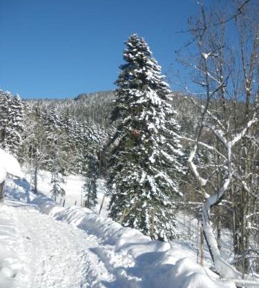 Gite IM-BERG