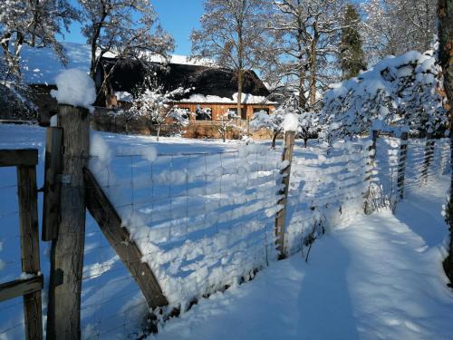 Gite spacieux et cosy à la campagne proche de Strasbourg