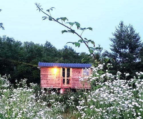 Glamping Casetta sul lago