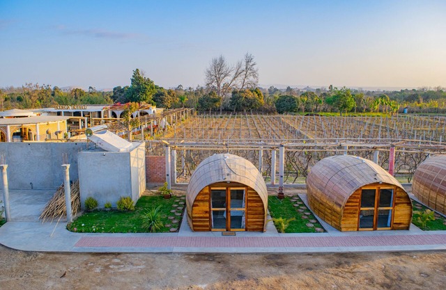 Glamping Toneles y Viñedos en la Ruta del Pisco