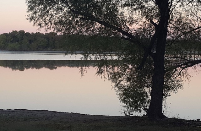 Gorgeous Hidden gem Lake front Studio. No cleaning fee. Pet friendly
