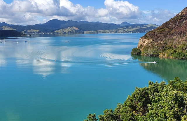 Gorgeous Waterfront Views and Private Access to Bay