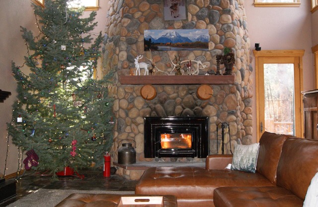 Grand lodge with pine forest, privacy, luxury hot-tub & WiFi in Colorado Springs