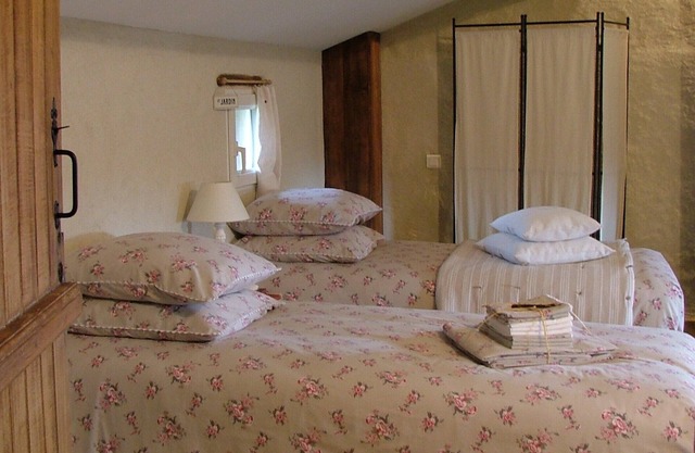 Grande Maison de Campagne LIN Piscine Chauffée Proche puy du fou