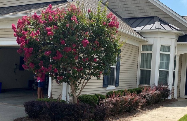 Great house