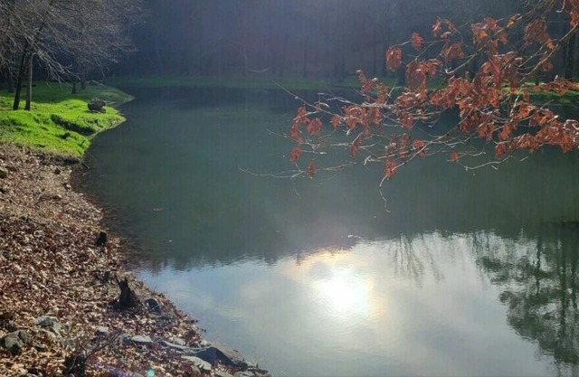 Great Location! Lake of your own. Dont miss out on this quiet location