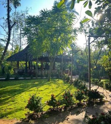 Green homestay Bến Tre- Bến Tre