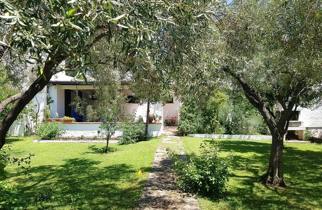 Green Villa