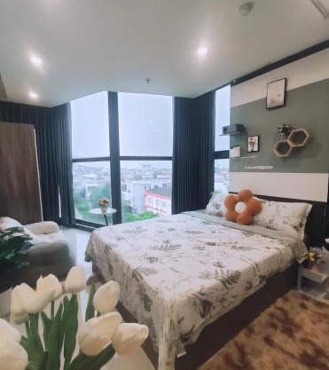 Haba's Homestay Bac Ninh City Apartment Projector