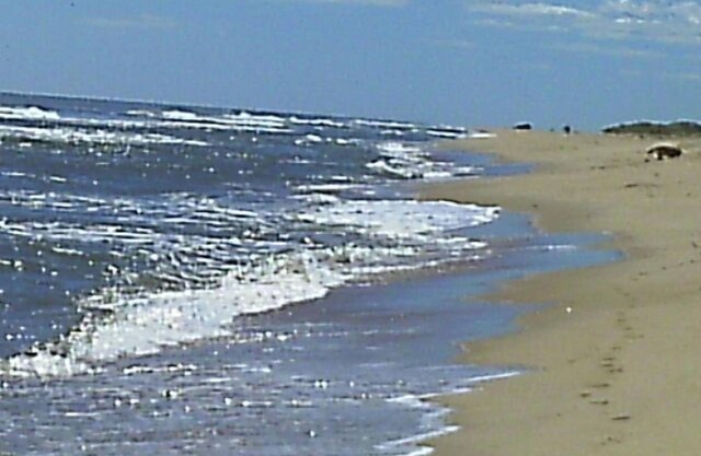 Hampton's Beach House With Dunes, Views & Ambiance! Ocean & Bay Beaches!