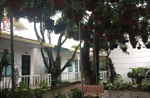 Hani House