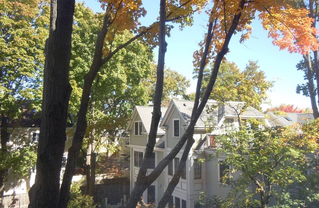 Harvard Square!