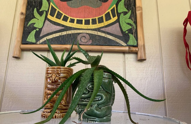 Hau'oli Place - Happy little tiki cottage in Volcano