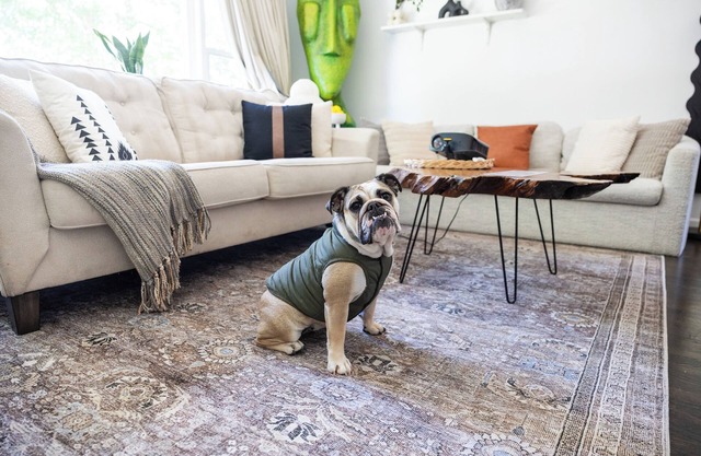 Haus Of Hues: MDRN Bright Peaceful Private Apt
