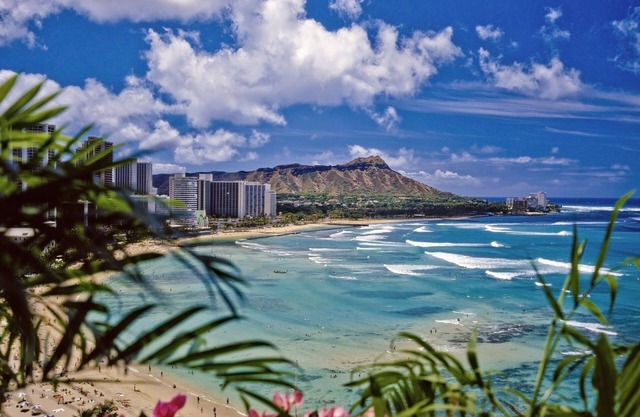 Hawaiian Monarch 1604 Condo by RedAwning