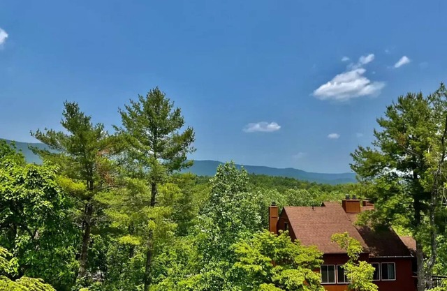 Hawks Nest-Charming 2-bedroom condo in wonderful Basye with WiFi, AC