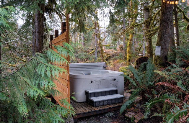 Hearthstone Cottage: hot tub deep in the woods w/sounds of the creek