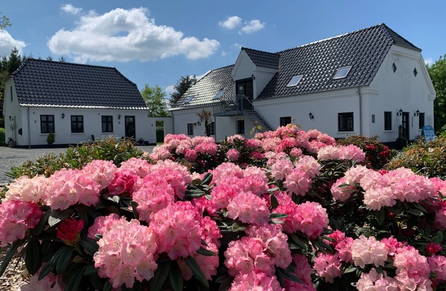 Hedegaarden