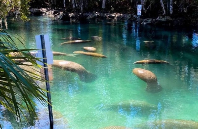 Hidden Gem in Nature