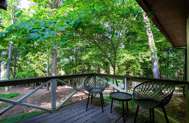 Hidden Lake Retreat - Lake View/Access & Fire Pit!