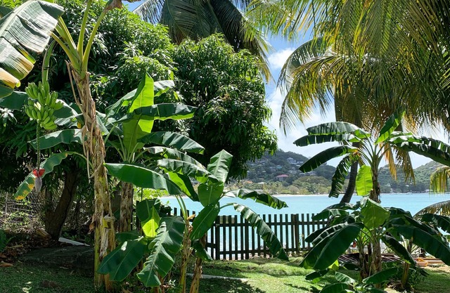 Hideaway Apartments Grenada