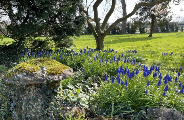 Hill Farm
