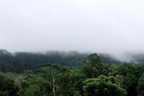 Hillcrest Villa Kandy