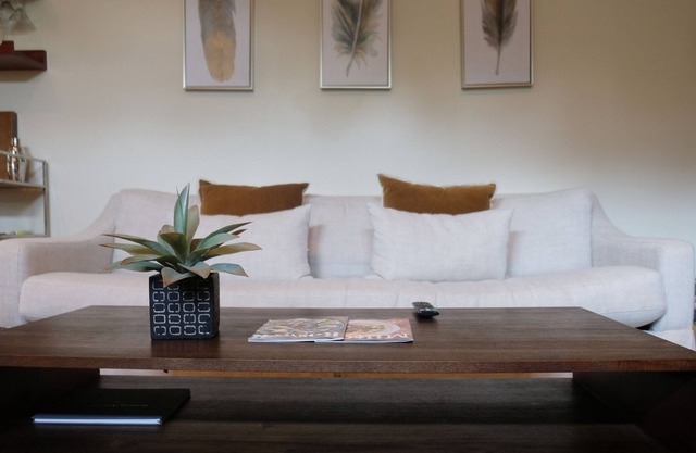 Hip Garage Apartment in Woodstock, Ga