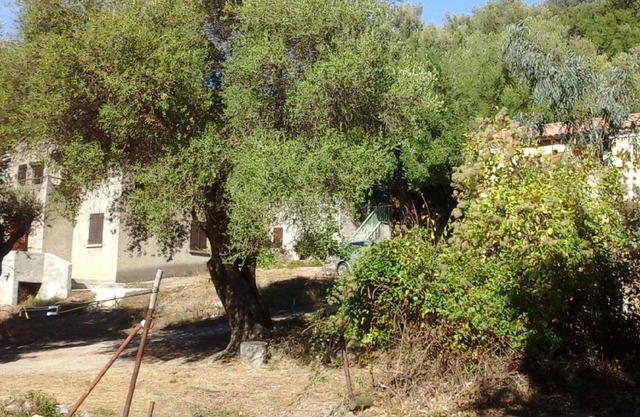Holiday apartment Patrimonio for 1 - 4 persons - Twin house