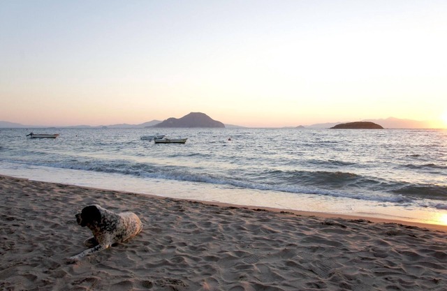 Holiday apartment Turgutreis for 1 - 4 persons with 2 bedrooms - Holiday apartment in one or multi-f