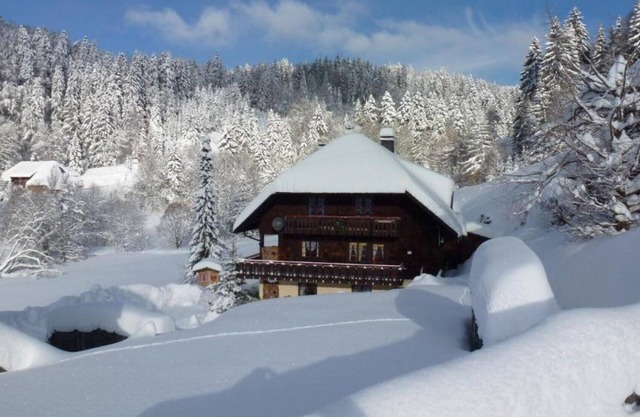 Holiday home Biehler - large apartment, approx. 110m²