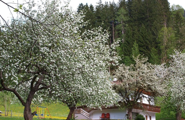 Holiday house Hart im Zillertal for 1 - 7 persons with 3 bedrooms - Farmhouse