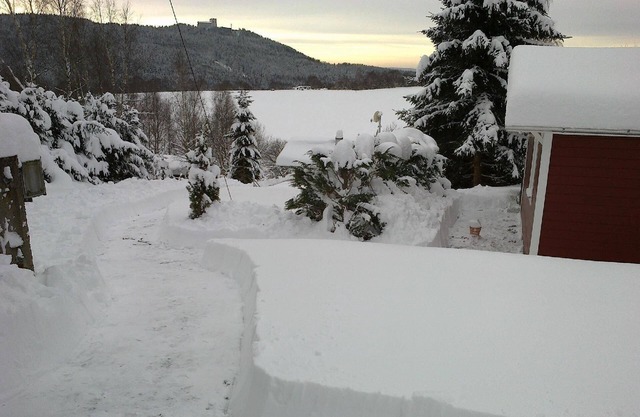 Holiday house Suhl for 1 - 2 persons with 1 bedroom - Holiday house