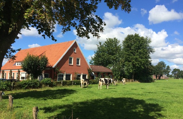 Holiday house XXL for 24 people with cinema, wellness, bar, 12 bedrooms and 10 bathrooms