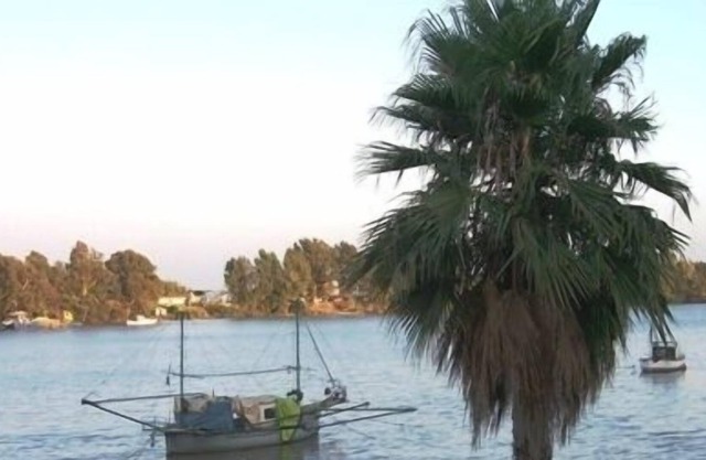 Holidays in Seville (Andalusia)