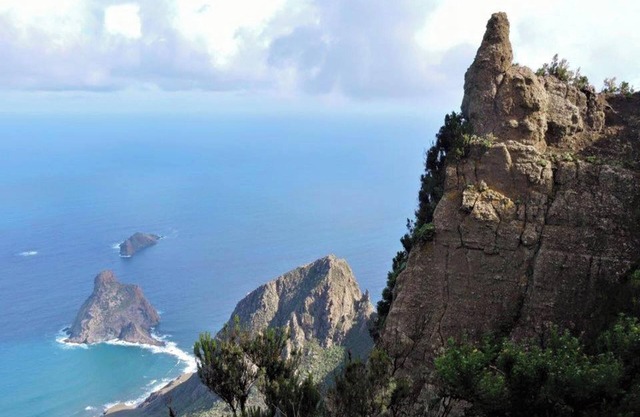 Homerez - House in Santa Cruz de Tenerife