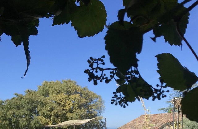 Homerez - House 7 km away from the beach for 4 ppl. with shared pool and terrace