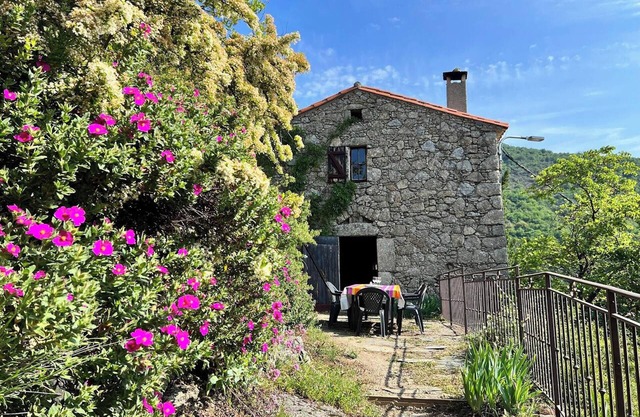 Homerez - House in Valleraugue, pool.