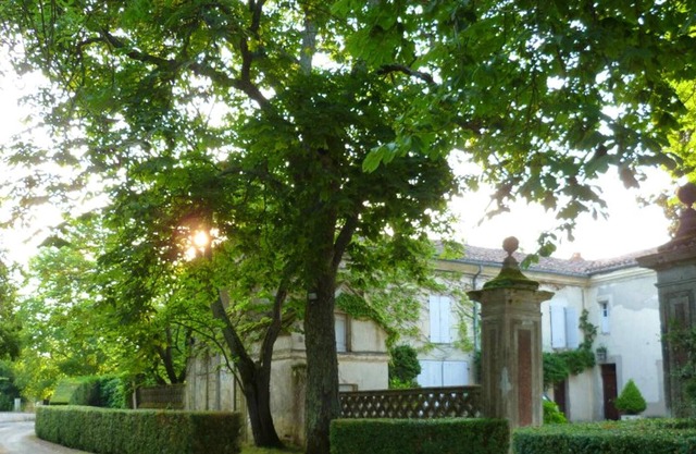 Homerez - Nice property for 2 ppl. with garden and terrace at Marssac-sur-Tarn