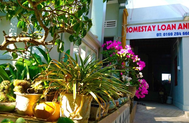 HOMESTAY LOAN ANH