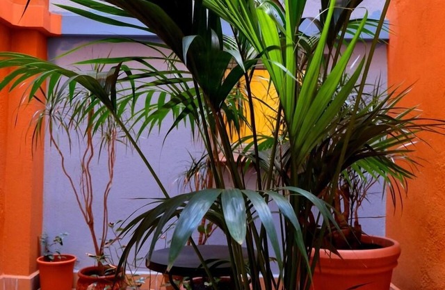 Hotel Carmen