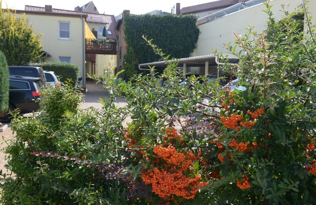 Hotel Pension Mandy