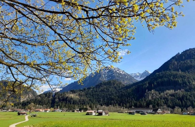House Huber - Holiday apartment Iseler - 3 bedrooms - 2 bathrooms