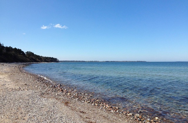 House in beautiful surroundings by Sejerøbugten. Close to the beach, woods and shop