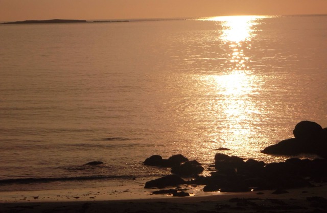 House in the heart of the Breton fjords, renovated in 2016, near the sea, wifi