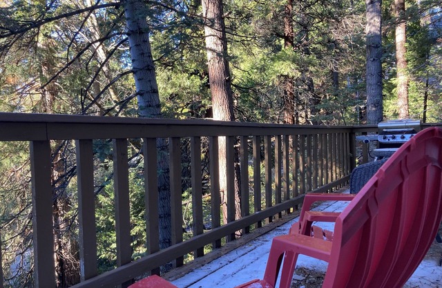 House in the trees of Lake Arrowhead, peace and quiet