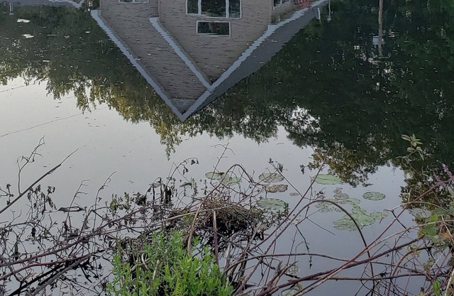 House on Loon Lake 1m to Long Lake| Sleeps 6, 2 Bedrooms & 1 Large Loft| 3 Beds