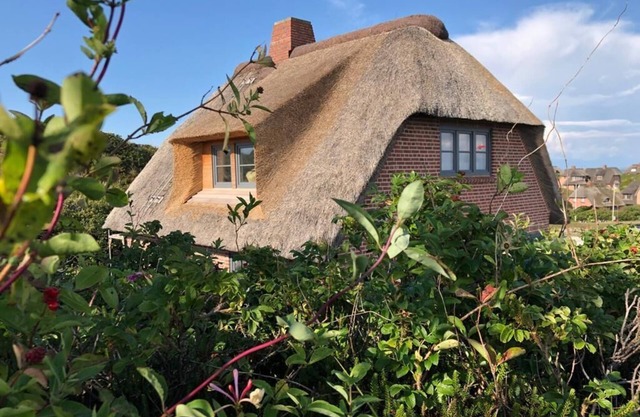 House Rystsandt HR/26
