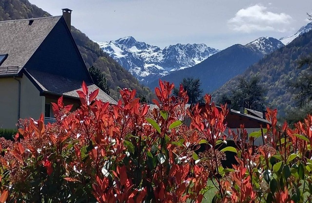House with garden, 10 min. walk to town center and 25 min. drive to ski resort